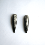 ORTHOCERAS STONE ( Fossil )