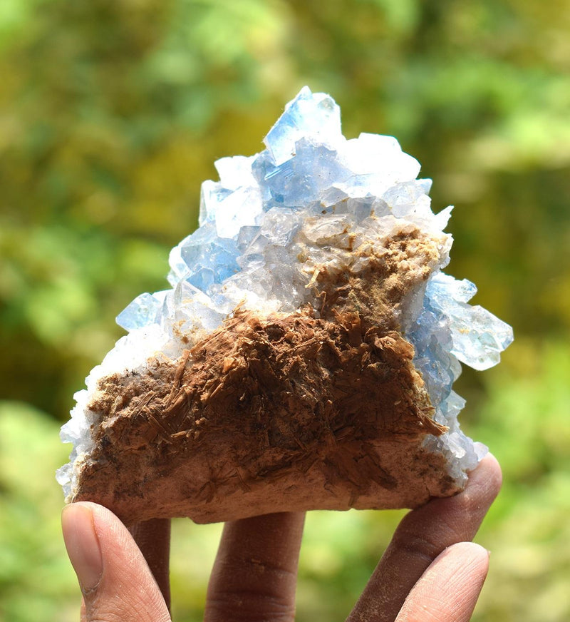 Celestite Cluster