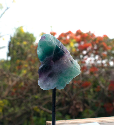 Rainbow Fluorite Raw Piece