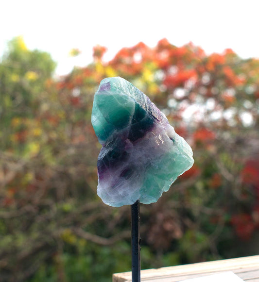 Rainbow Fluorite Raw Piece 1281