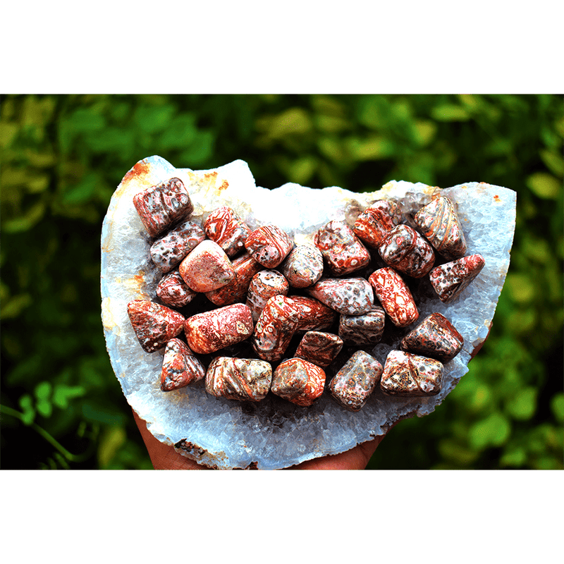Leopard Jasper Tumbles