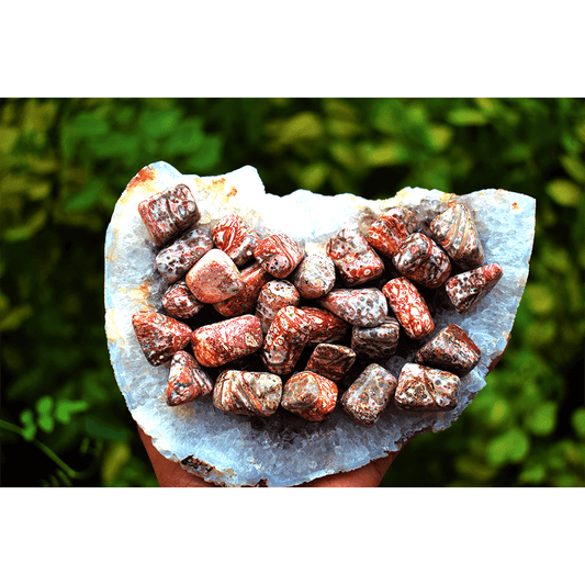 Leopard Jasper Tumbles 900