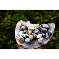 Merlinite Tumbles ( Dendritic agate )
