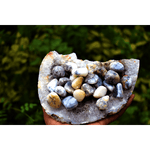 Merlinite Tumbles ( Dendritic agate )